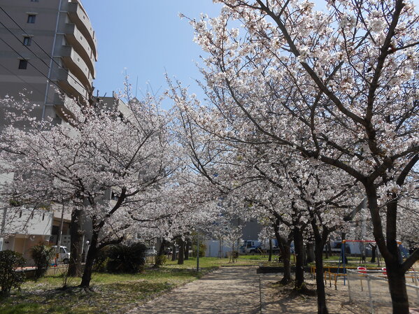 img1_893.jpg