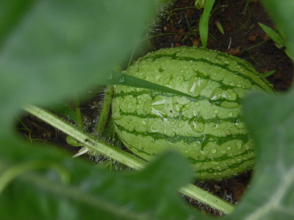 img2_000537.jpg
