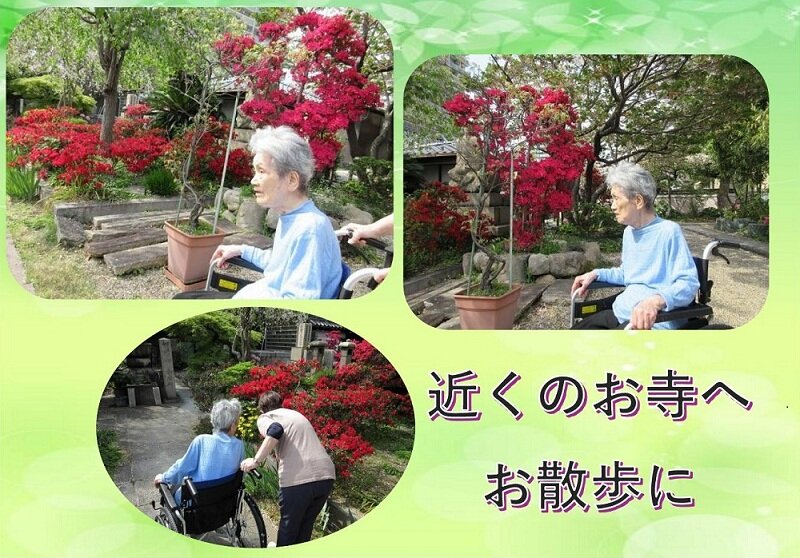 散歩.jpg