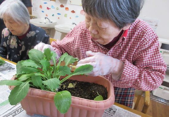 【園芸活動の様子】